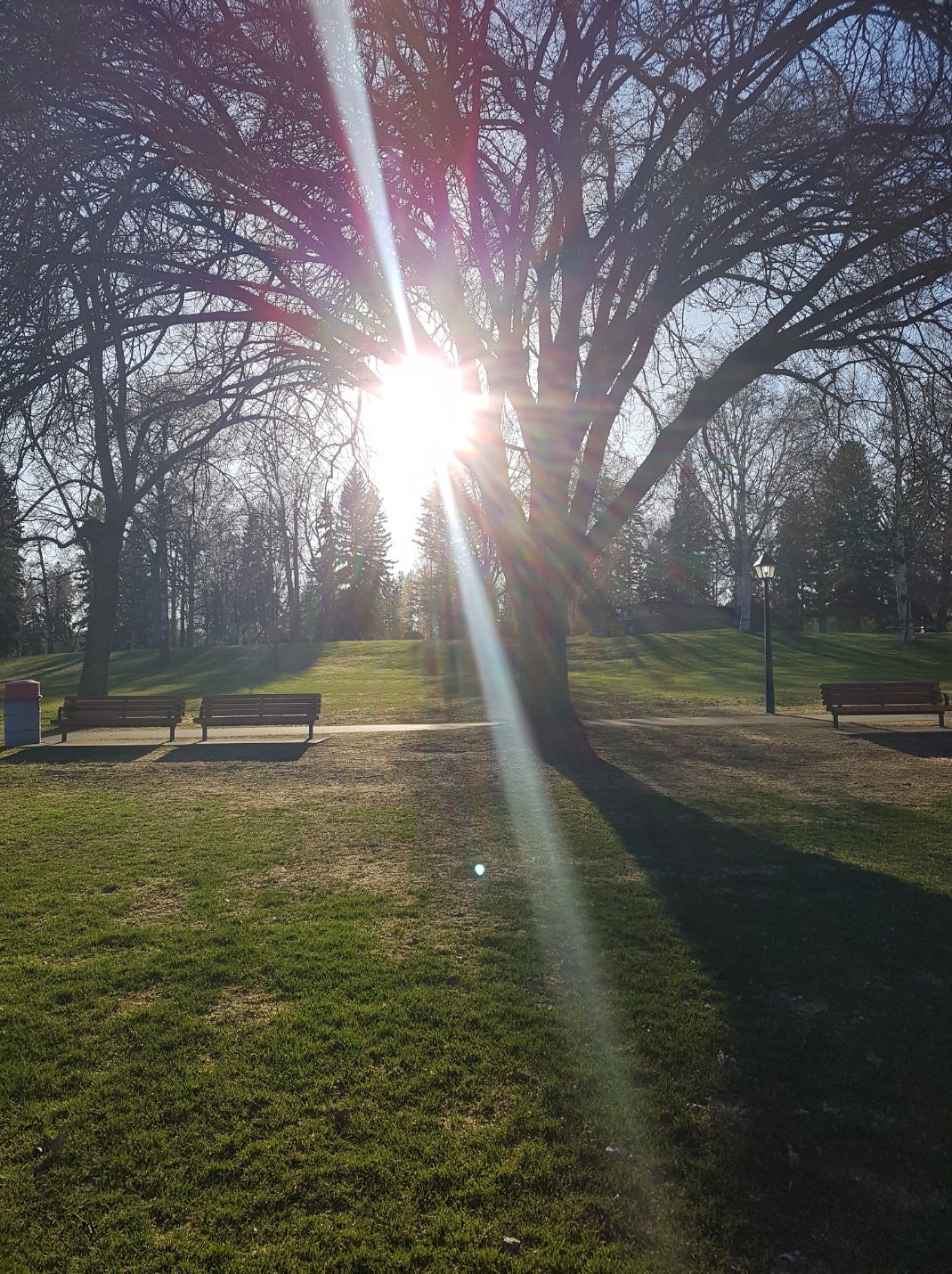 Lheidli T’enneh Memorial Park in Prince George; source filename uses the former park name