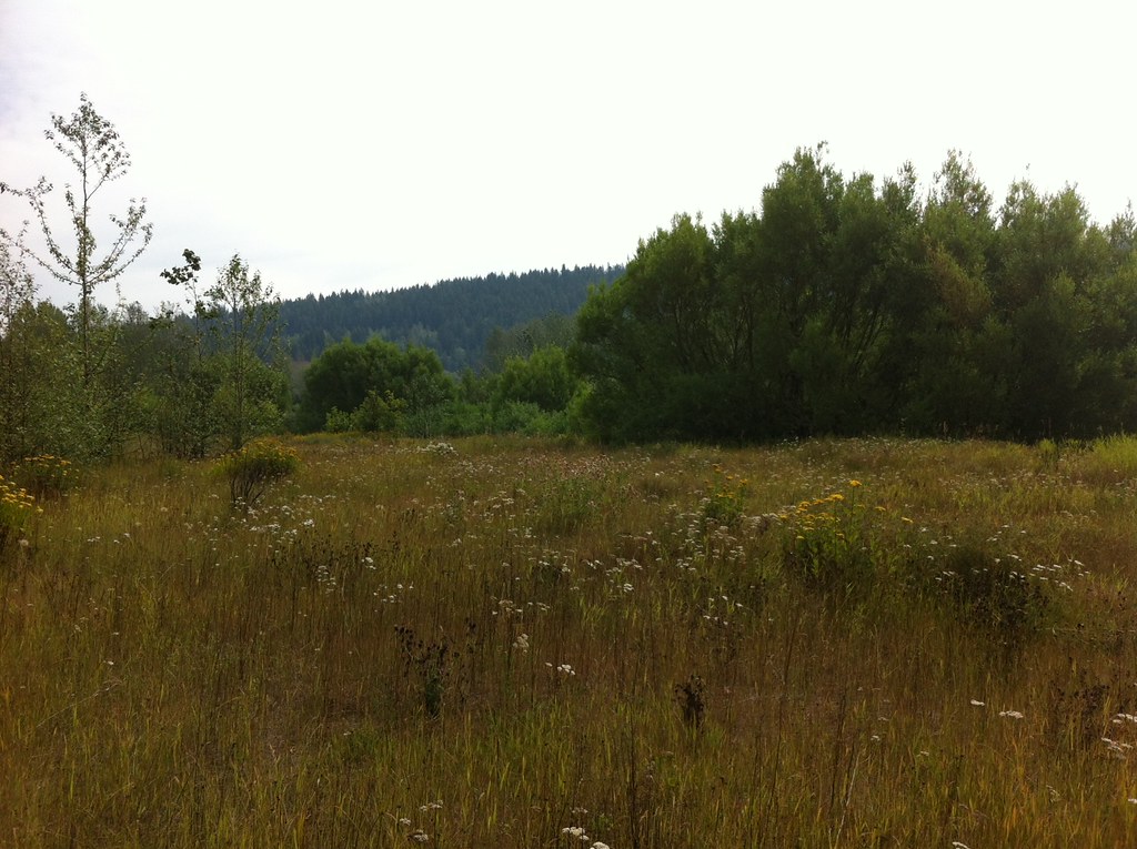 Hudson’s Bay Slough in Prince George